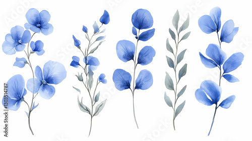 Fototapeta Naklejka Na Ścianę i Meble -  Set of blue watercolor flowers, leaves and twigs on white background. botanical watercolor painting for decorative invitations, posters, or cards. Beauty - Portrait. Illustration