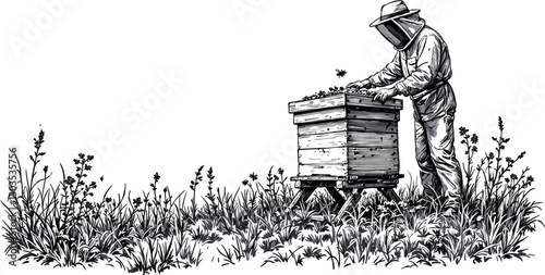  Beekeeper harvesting honey with bees around, vintage engraving