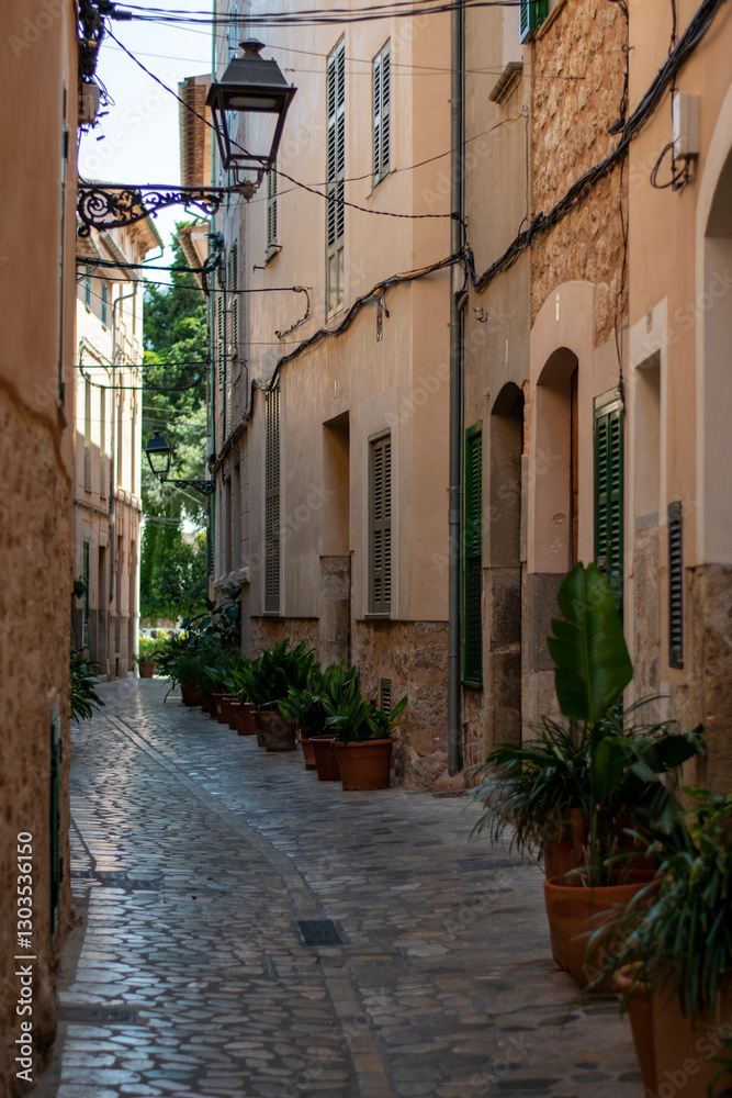 Obraz premium Soller Alley: Cobbled Street Charm