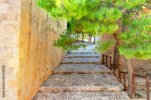 Scenic Stone Steps Nestled Beneath Lush Green Trees in a Beautiful Natural Landscape