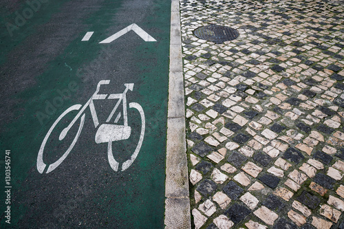 Bike lane on a rainy day. Sign for bicycle painted on the asphalt.