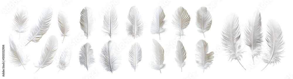 Obraz premium Delicate White Feathers Isolated on Transparent Background for Design, PNG bundle collection, Isolated on Transparent Background