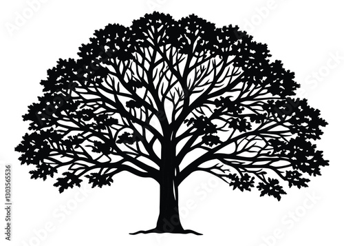 Silhouette of Sycamore Tree isolated on a white background