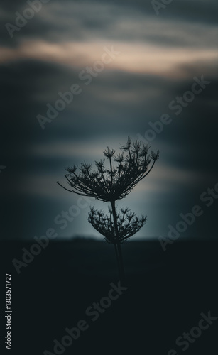 Darkpflanze