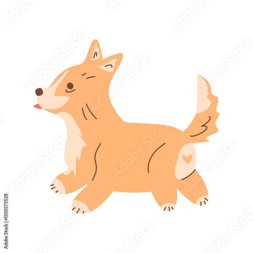 The corgi puppy runs happily. The vector illustration shows a pedigreed dog. The character is a puppy with his tongue hanging out. Pet. Flat vector illustration. Dog training, walking, pet supplies