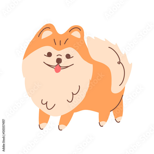 Pomeranian Pomeranian on a walk, smiling and sticking out his tongue. Vector illustration of a cute little puppy. A German breed of small dogs. For graphic design of pet products and prints.