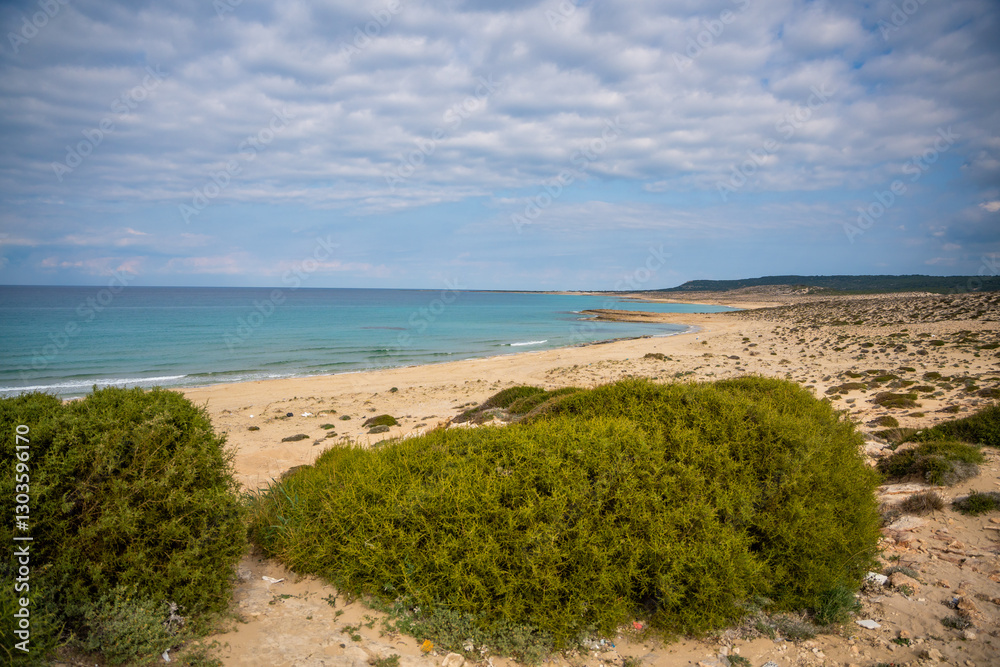 Fototapeta premium A wild, untouched beach on the northern coast of Cyprus, known as a nesting site for sea turtles. The image captures the pristine beauty of nature and the fragile ecosystem of marine wildlife