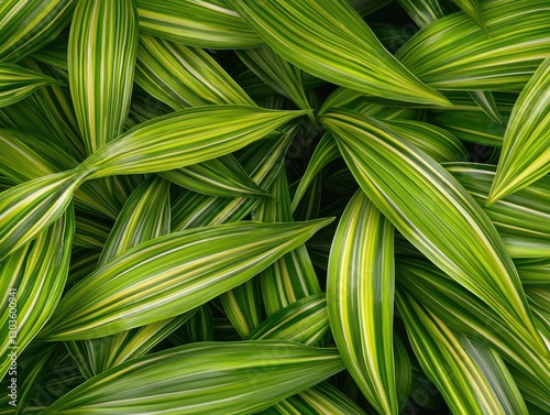 Close-Up of Vibrant Green Grass Blades in Chaotic Arrangement with Striking Patterns and Colors