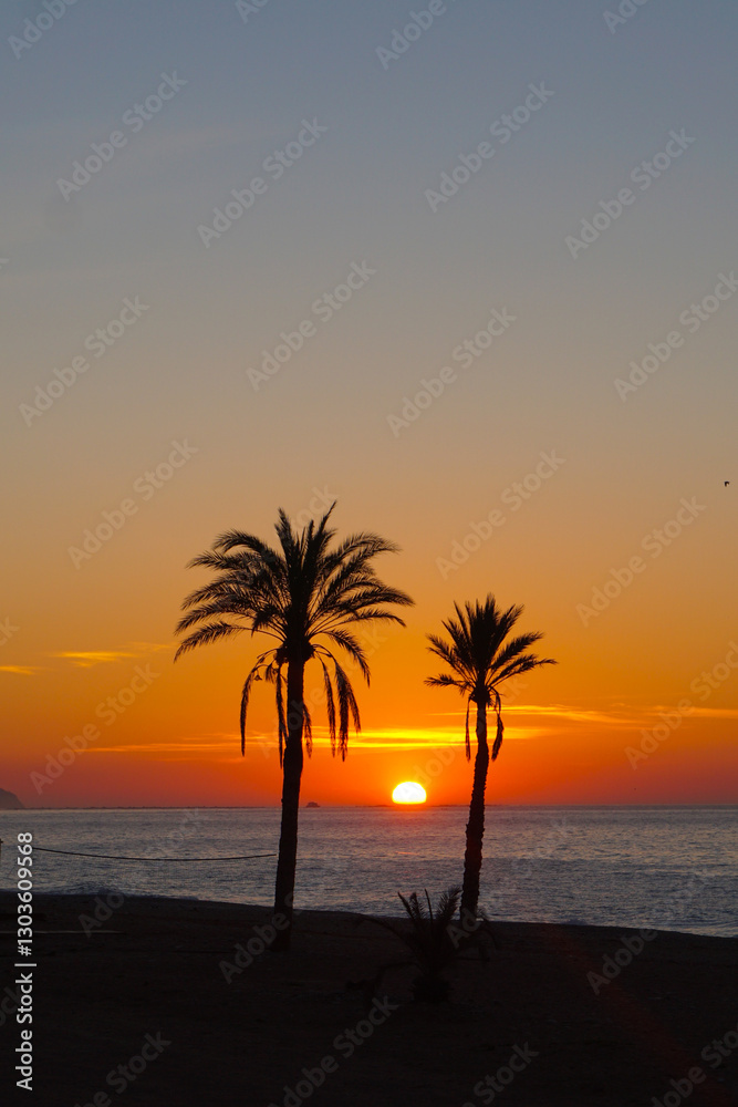 Sunset Over the Ocean Framed by Two Palm Silhouettes Sunset Over the Ocean Framed by Two Palm Silhouettes