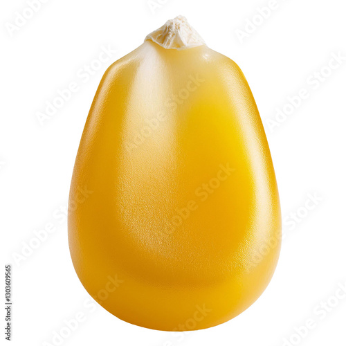 Single corn kernel isolated on transparent background
