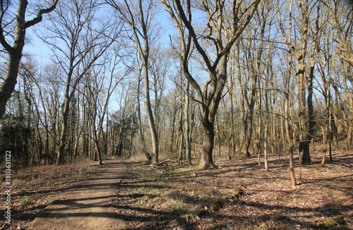 Queens Hill Costessey Norwich, United Kingdom, March 2, 2025. Views from Queens Hill Forest photo