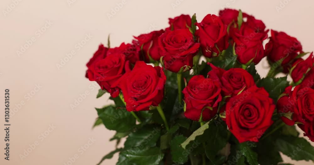 many beautiful red roses on a light background as a backing for the background
many beautiful red roses on a light background as a backing for the background