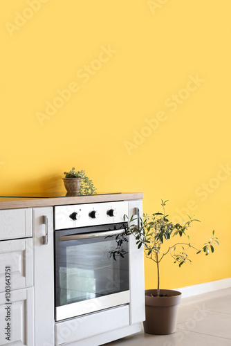 Electric oven and houseplan...