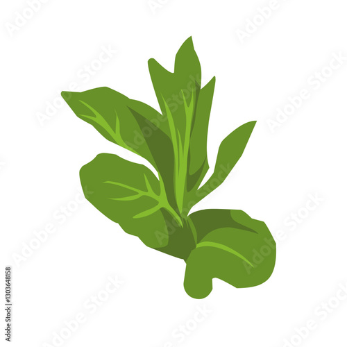 Vector illustration of vegetable leaves