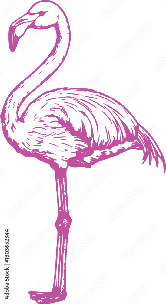 Obraz premium pink flamingo bird silhouette rubber stamp