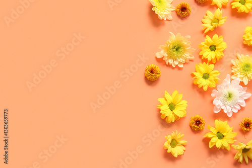 Beautiful chrysanthemum flo...