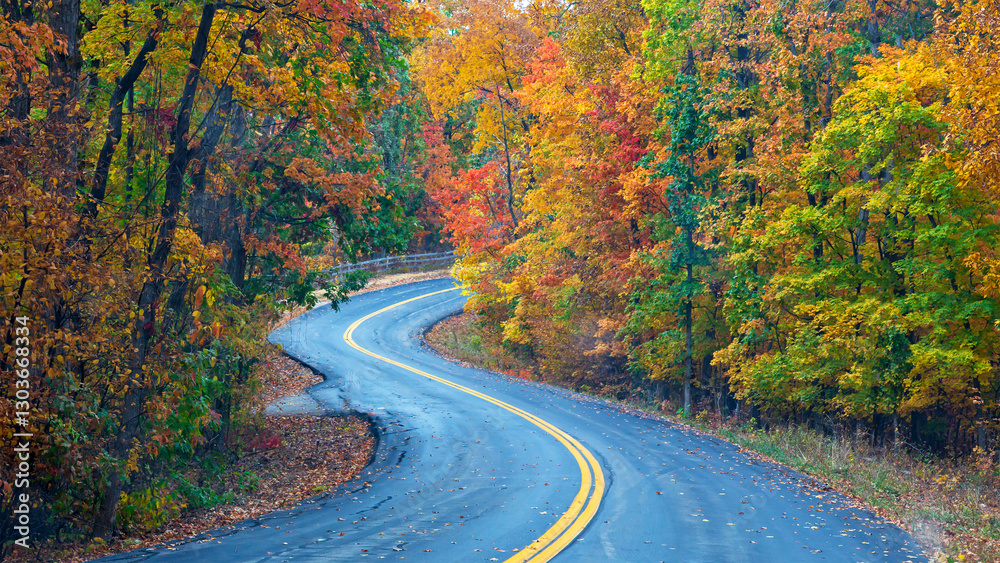 Fototapeta premium Road through woods with brightly colored autumn leaves on the trees