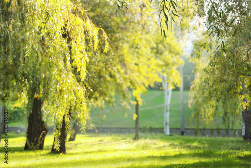 Beautiful autumn park with ...