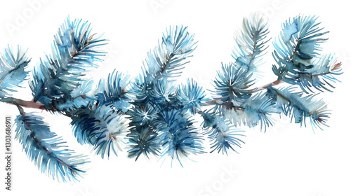 Watercolor drawing of a fir tree branch isolated on white