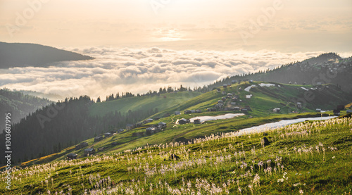 Fototapeta Naklejka Na Ścianę i Meble -  Mountain landscape with blooming plants, sunrise or sunset and clouds in the background.