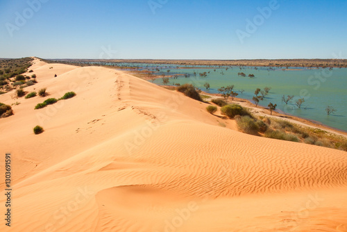 A longitudinal sand dune with footprints along the crest and an ephemeral lake contrasting with the desert environment on the edge of the Simpson Desert near Birdsville in  Queensland, Australia.