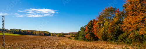 Colorful Wisconsin forest and farmland in early October