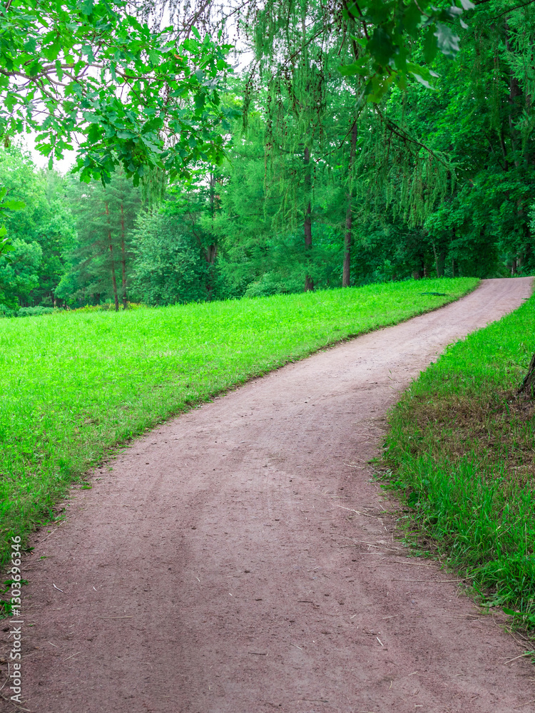 Obraz premium Path in a park with trees and grass
