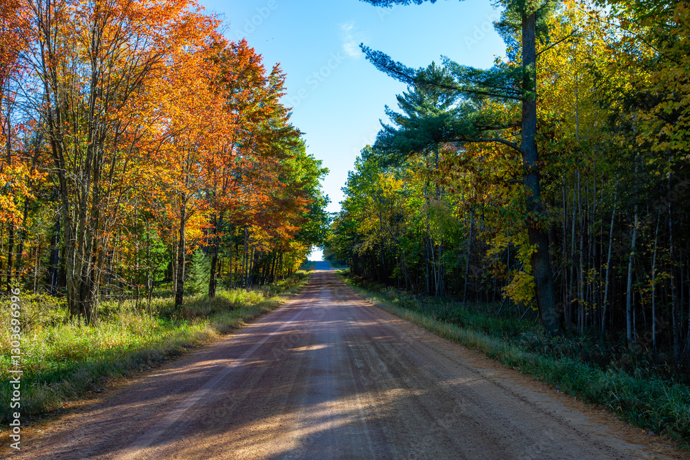 Φωτογραφία Colorful Wisconsin forest on a gravel road with blue sky in early October
