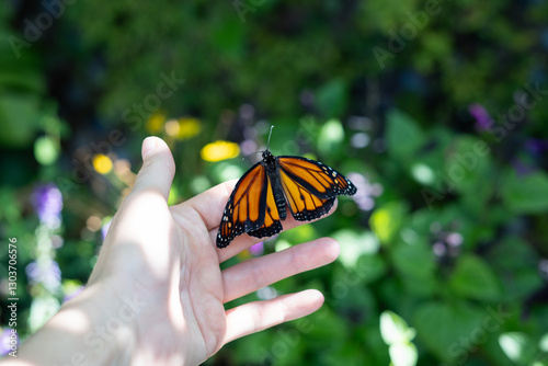 A monarch butterfly with vibrant orange and black wings resting on an open hand with green tropical background, symbolizing freedom, transformation, and the beauty of nature. Copy space. 