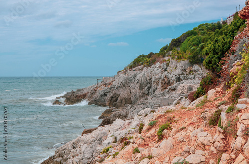 A scenic view of a rugged, rocky coastline dotted with green bushes, meeting the calm sea under a partly cloudy sky, capturing the raw beauty of the shore.