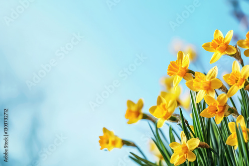 A Bright yellow flowers with green leaves against soft blue background create cheerful and vibrant atmosphere