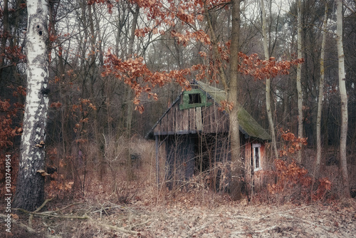 Small wooden house in the autumn forest.