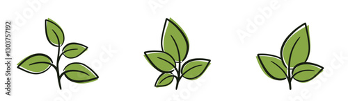 Plants with leaves illustrations. Nature, spring and planting design elements. Isolated vector images