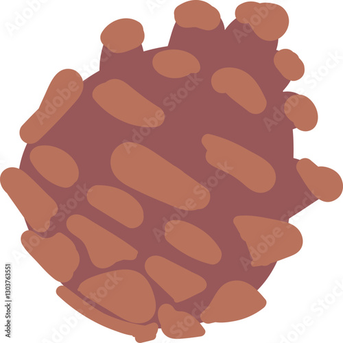 Pine cone from autumn forest
