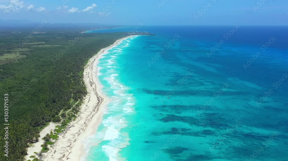 Aerial view on caribbean sea seashore with coconut palm trees. Summer vacation. Travel destination. Dominican Republic Aerial view on caribbean sea seashore with coconut palm trees. Summer vacation. Travel destination. Dominican Republic