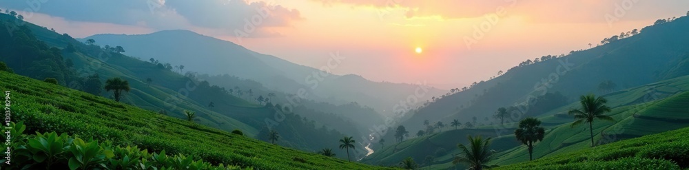 Foggy mountainside with tea plantations at dusk, dusk, kerala Foggy mountainside with tea plantations at dusk, dusk, kerala