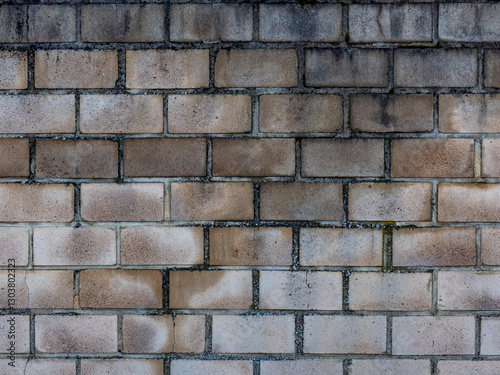 Risse und Feuchtigkeit an einer Mauer
