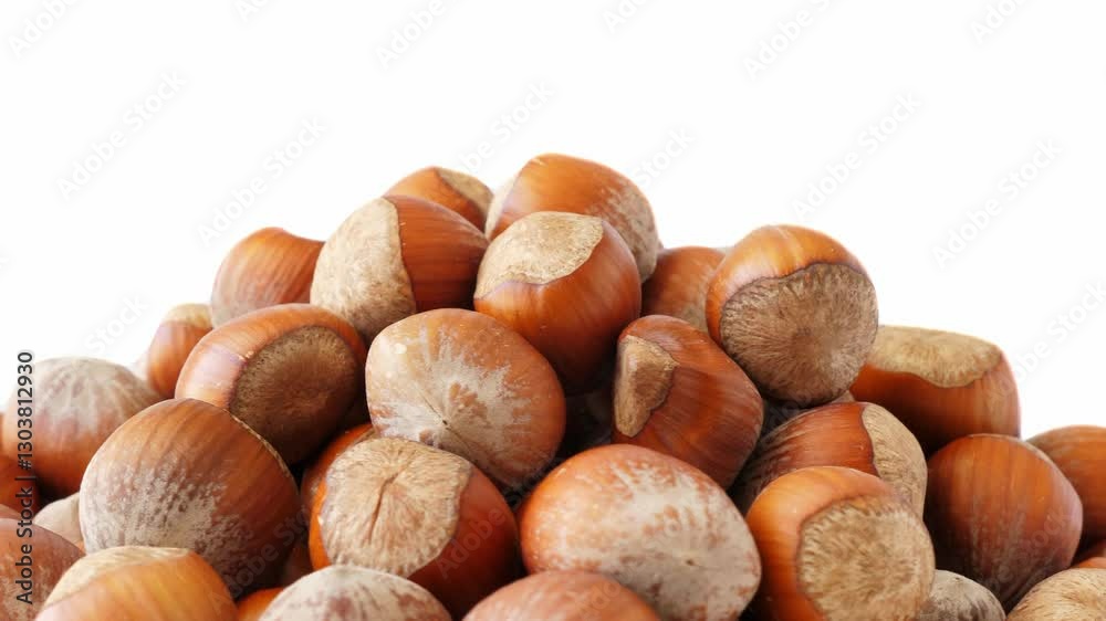 Hazelnut background. Rotating on white background Hazelnut background. Rotating on white background