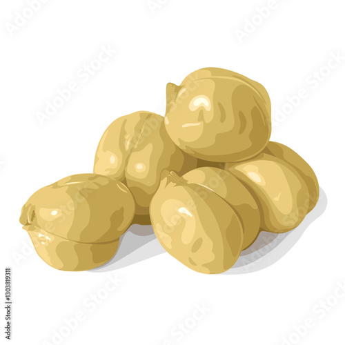 Illustration of Chickpea or chick pea, scientific name Cicer arietinum, isolated on white background.