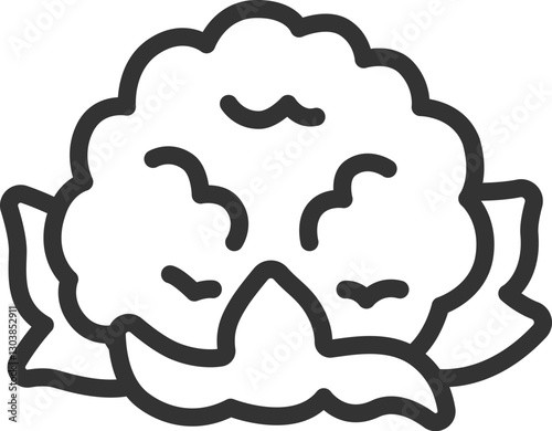 葉のついた、カリフラワーのアイコン（線画）のイラスト