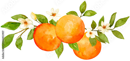 Oranges with flowers watercolor composition hand drawn and painted on isolated background. Citrus fruit tropical food small border 