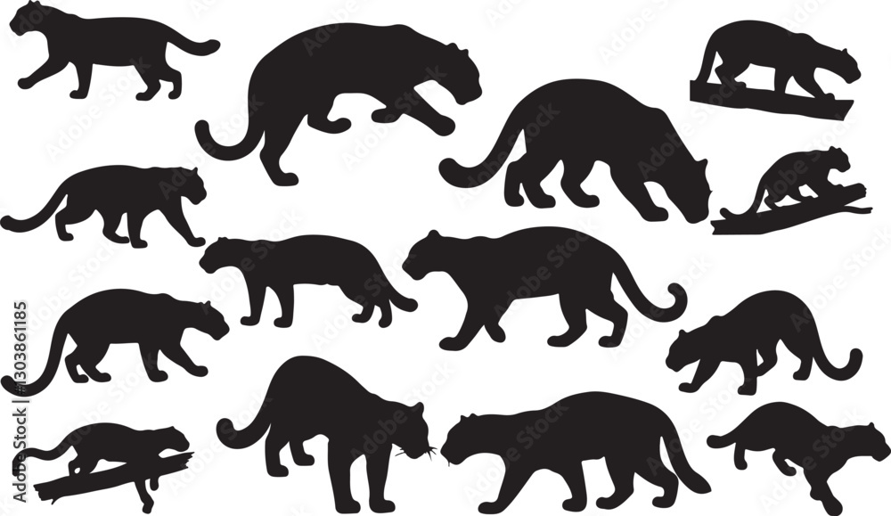 Fototapeta premium Clouded Leopard Silhouettes