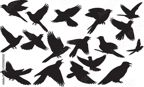 Cuckoo Silhouettes