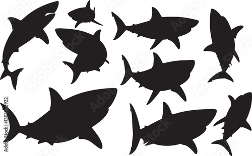Great White Shark Silhouettes