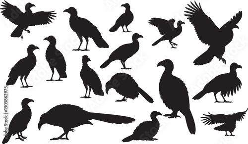 Greater Coucal Silhouettes