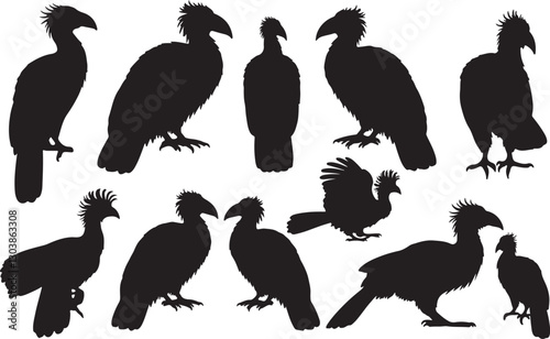 Hoatzin Silhouettes