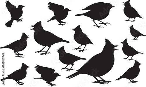 Lark Silhouettes