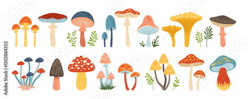 Mushrooms hand drawn cartoon set. Poisonous and edible various textured mushrooms vector isolated Illustration. Boletus, chanterelle, porcini Amanita Muscaria, Fly agaric toadstool mushrooms icon art