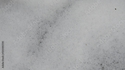 fine white soap foam background