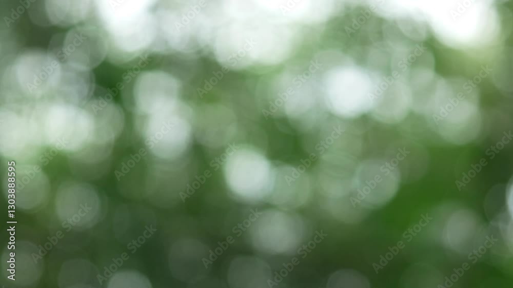 green bokeh abstract background